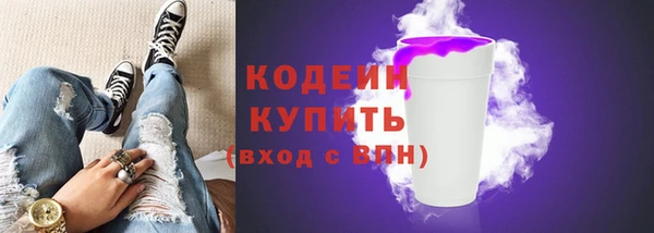 дурь Инта