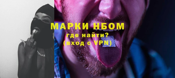 дурь Инта