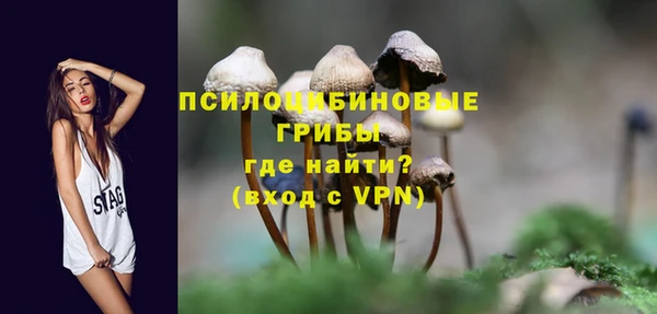 а пвп мука Инсар