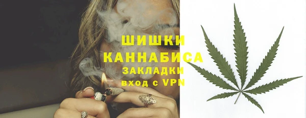 дурь Инта