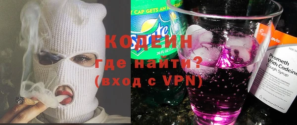 дурь Инта