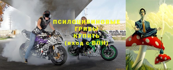 дурь Инта
