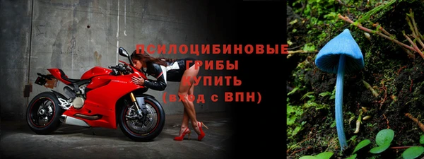 гидра Иннополис
