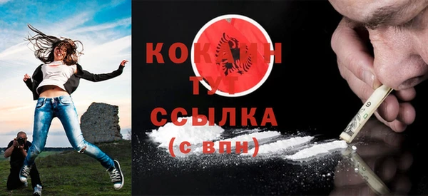 дурь Инта