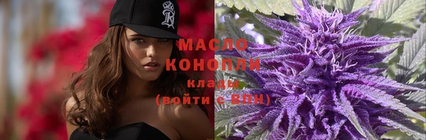 дурь Инта