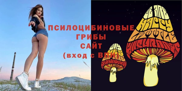 а пвп мука Инсар