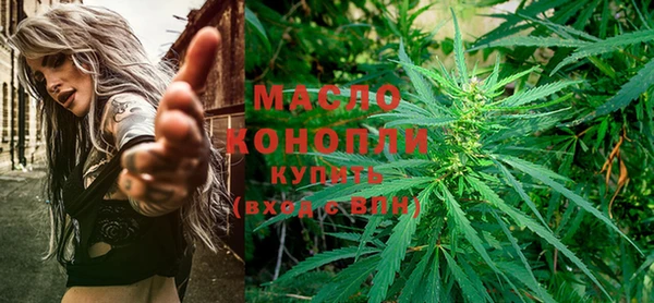 дурь Инта