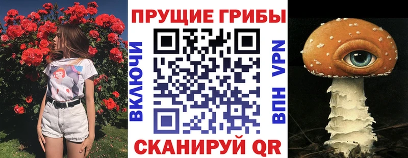 сколько стоит  Новый Уренгой  Галлюциногенные грибы GOLDEN TEACHER 